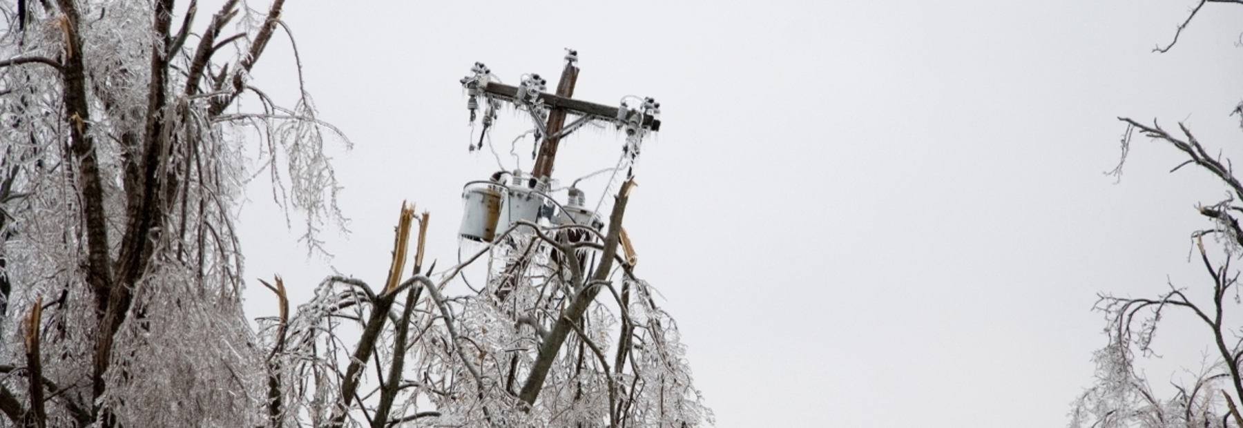 Utility poles damaged by snow storm